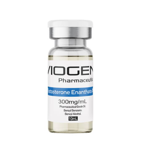 Viogen Testosterone Enanthate 300